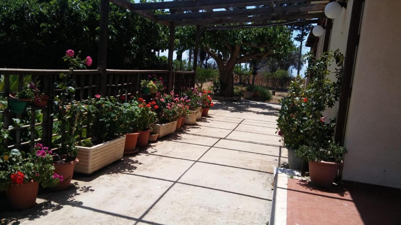 Il Gazebo Bed & Breakfast Scoglitti Dış mekan fotoğraf