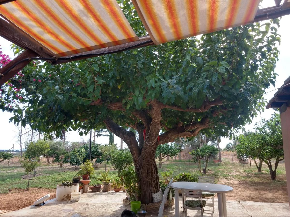Il Gazebo Bed & Breakfast Scoglitti Dış mekan fotoğraf