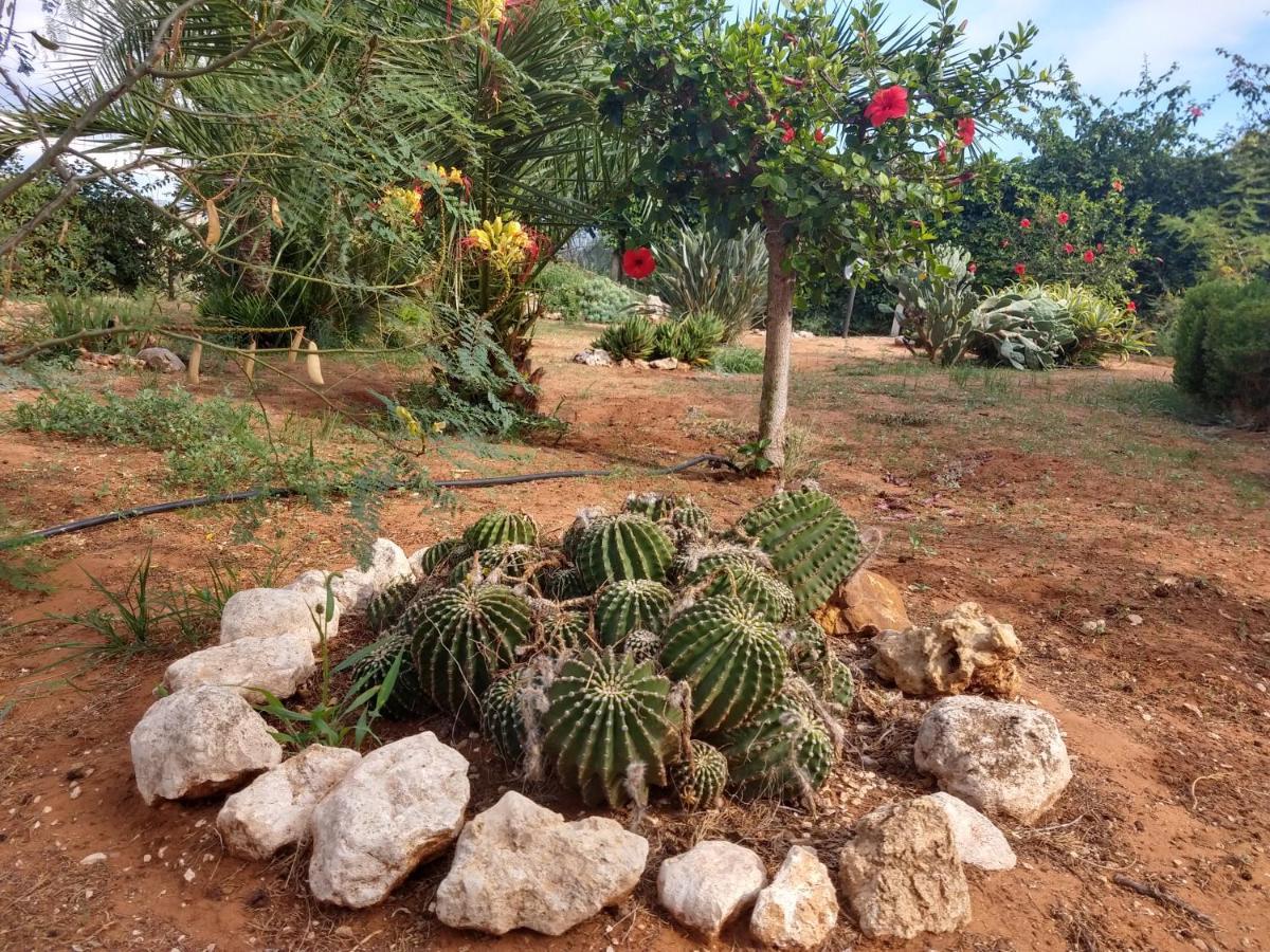 Il Gazebo Bed & Breakfast Scoglitti Dış mekan fotoğraf