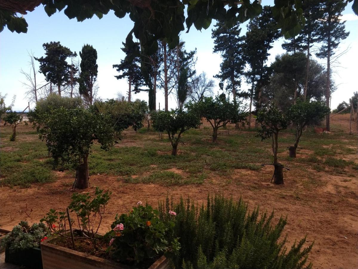 Il Gazebo Bed & Breakfast Scoglitti Dış mekan fotoğraf